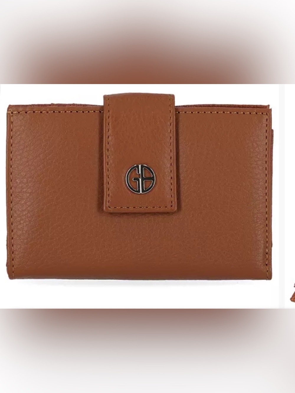 Giani Bernini Brown Leather Snap Wallet